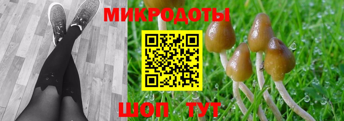купить закладку  Вход с VPN  Клин  Псилоцибиновые грибы GOLDEN TEACHER  Псилоцибиновые грибы мицелий 